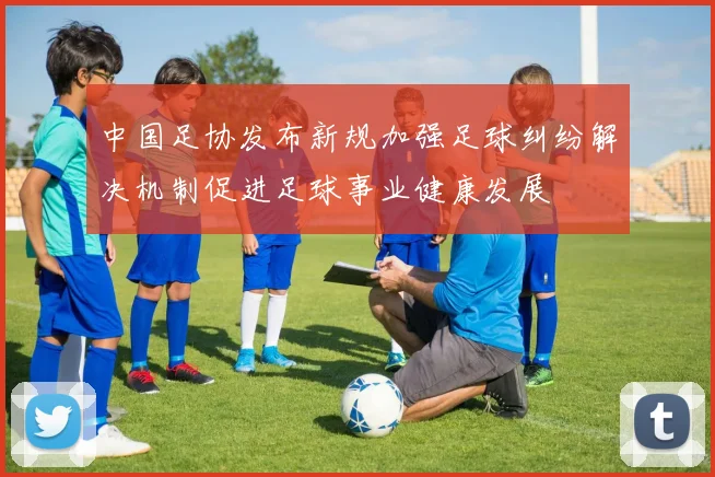 中国足协发布新规加强足球纠纷解决机制促进足球事业健康发展