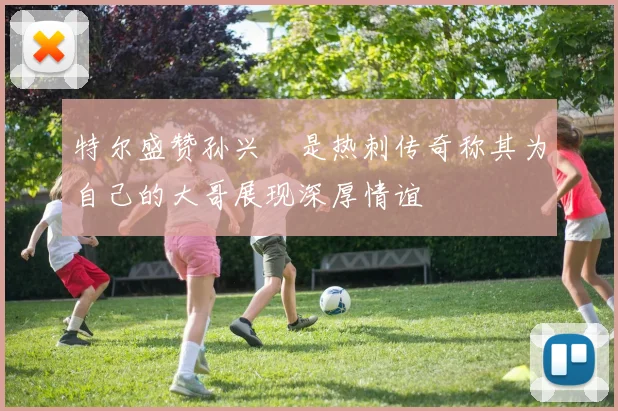 特尔盛赞孙兴慜是热刺传奇称其为自己的大哥展现深厚情谊